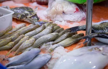水產(chǎn)品保鮮技術(shù)--濟南佳農食品有限公司